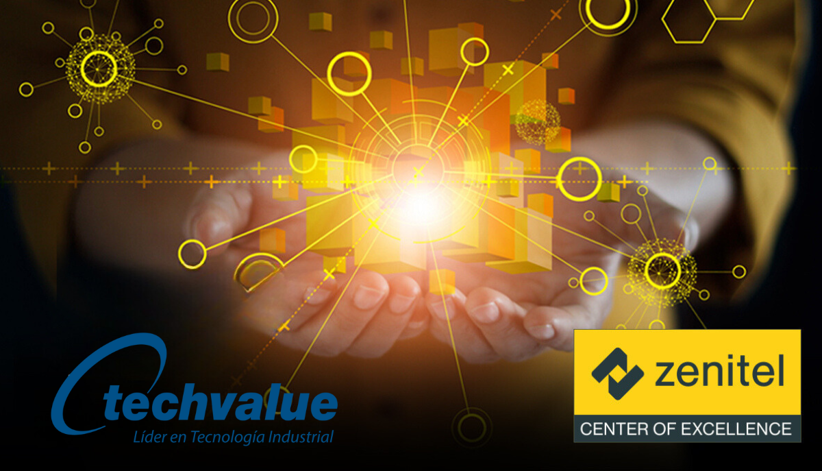 Techvalue S.A.